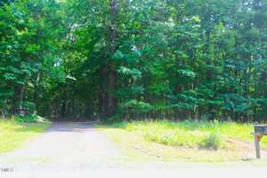 A gravel driveway leads into a dense, green forest. Bright sunlight filters through the trees. A small patch of grass and a black mailbox are visible near the edge of the road in the foreground.