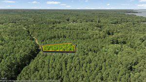 Aerial view of a densely forested area with a roughly wedge-shaped section outlined in orange near the center, indicating a specific plot of land. The background includes more forest and a body of water on the upper right.