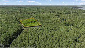 Aerial view of a dense forest with a rectangular section outlined in orange, indicating a specific plot of land. The plot is surrounded by trees, with a body of water visible in the distance under a partly cloudy sky.