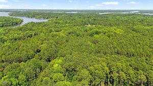 A large expanse of dense, green forest stretches across the image, with several bodies of water and lakes visible in the background under a partly cloudy sky.