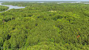 Aerial view of a dense green forest with a lake partially visible in the upper left corner and more wooded areas and water in the distance under a clear sky.