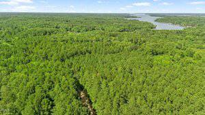 Aerial view of a dense green forest with a river or lake curving through the upper right side of the image under a blue sky with scattered clouds.