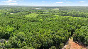 Aerial view of a large, densely forested area with a clearing in the bottom right corner and patches of open land in the distance under a partly cloudy sky.