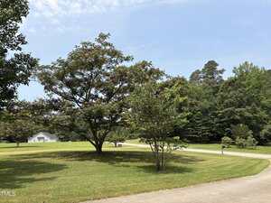 A large tree with pink flowers and a smaller tree stand on a manicured lawn beside a curved driveway. A white house is visible in the background, surrounded by trees under a partly cloudy sky.