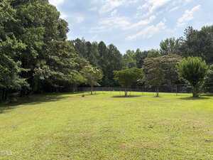 A grassy yard with scattered trees and a metal chain-link fence in the background, bordered by dense woods under a partly cloudy sky.