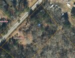 Aerial view of wooded land at 116 E Tally Ho Road, divided by yellow property lines with a marker at the Stem area. Roads labeled "E Tally Ho Rd" and "The Horses" border parcels; trees and cleared areas are visible.
