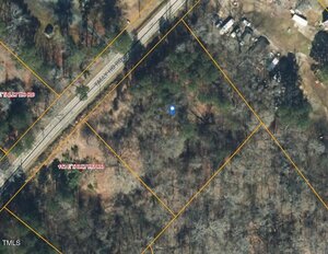 Aerial view of wooded land at 116 E Tally Ho Road, divided by yellow property lines with a marker at the Stem area. Roads labeled "E Tally Ho Rd" and "The Horses" border parcels; trees and cleared areas are visible.