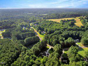 Aerial view of a rural neighborhood with scattered houses surrounded by dense trees and open fields under a blue sky with light clouds.