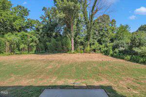 A backyard with a patchy grass lawn, bordered by dense green trees and shrubs. The area appears recently cleared or landscaped, with a concrete patio in the foreground and a blue sky overhead.