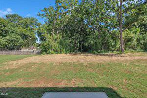 A backyard with a grassy lawn, some dry patches, and large trees along the back edge. A wooden fence is on the left, and dense green foliage borders the yard. Clear blue sky is visible above.
