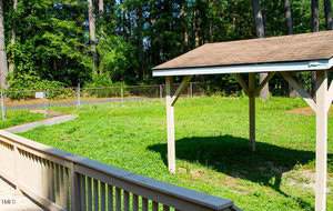 A backyard with green grass, partial wooden deck, a small wooden shelter with a shingled roof, and a chain-link fence separating the yard from a wooded area.