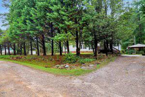A gravel driveway curves past a row of tall trees toward a white house with a porch. A small gazebo is visible on the right side, with landscaped rocks and greenery in the yard.