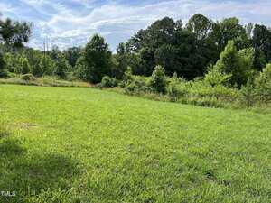 A grassy open field bordered by dense, leafy trees under a partly cloudy sky. The sunlight casts shadows on the grass, and the scene appears calm and green.