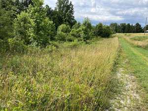 A grassy path runs alongside tall grass and dense green trees under a partly cloudy sky, with power lines visible in the distance on the right side.