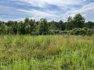 A grassy field with tall green plants and wild grasses in the foreground, dense trees and shrubs in the background, and a partly cloudy blue sky overhead.
