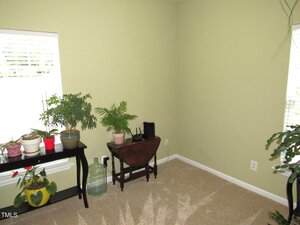 A small room with light green walls and beige carpet, featuring a window with blinds, two side tables with various potted plants, a large water jug, and a few electrical outlets visible on the walls.