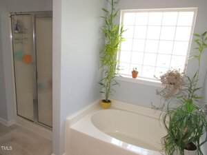 A bathroom with a white bathtub, a glass shower enclosure, and a large window with glass blocks. Several potted plants sit on the edge of the bathtub and windowsill. The walls are painted light gray.