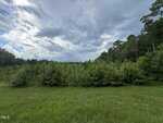 A grassy field with dense green bushes and trees under a cloudy, partly blue sky. The landscape is mostly flat with a tree line in the background and the impression of a rural, natural setting.