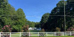 A white house is situated in the distance, surrounded by tall trees and greenery. A white wooden fence runs across the foreground, with flowering bushes planted along it under a clear blue sky. Power lines cross the scene overhead.