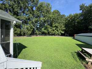 A backyard with a well-maintained grassy lawn, bordered by tall trees and a chain-link fence. Part of a house, a porch, and a wooden structure are visible in the foreground. The sky is clear and sunny.