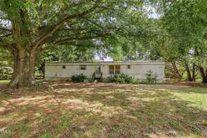A white single-wide mobile home with a small front porch sits under a large, leafy tree, surrounded by grass and shrubs, on a sunny day.