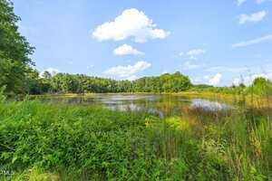 A calm pond surrounded by green vegetation and tall grass, with trees in the background under a blue sky with scattered white clouds.