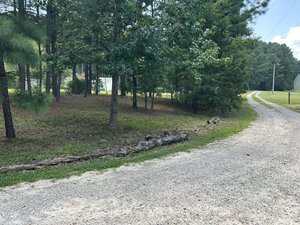 A gravel driveway curves alongside a grassy, wooded area with several trees. A long fallen branch lies near the road. A house and power lines are visible in the background under a partly cloudy sky.