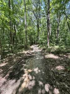 A dirt trail winds through a dense forest with tall trees and green foliage. Sunlight filters through the leaves, casting dappled shadows on the path and forest floor.
