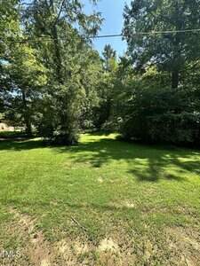 A grassy yard bordered by tall, leafy trees under a clear blue sky, with sunlight casting shadows on the lawn and a thin wire visible above.