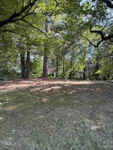 A grassy and partially shaded yard with tall trees, scattered sunlight, and patches of bare ground. The area appears open with dense foliage in the background and some visible sky through the branches.