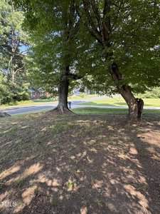 A patch of bare soil shaded by two large trees near a roadside. A mailbox stands between the trees, and houses and greenery are visible across the street in the background.