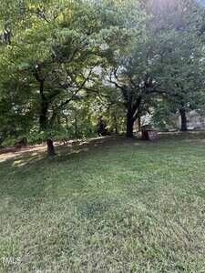 A grassy yard with two large leafy trees providing shade. Sunlight filters through the branches. A small brown shed or structure is visible near the right side, with a house partially seen in the background.