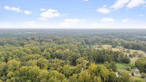 Aerial view of a large, densely forested area with patches of open fields and scattered trees under a partly cloudy sky.
