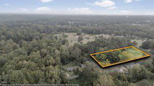 Aerial view of a wooded residential area in Henderson, with a rectangular plot at 0 Merriman Street outlined in orange. Several houses and roads are visible, surrounded by dense trees and greenery under a partly cloudy sky.