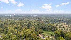 Aerial view of a large, densely wooded area with a few houses and roads visible near the bottom edge; the sky is partly cloudy with a distant horizon.