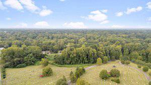 Aerial view of a cemetery with scattered gravestones and a few trees, surrounded by dense forest under a partly cloudy sky.