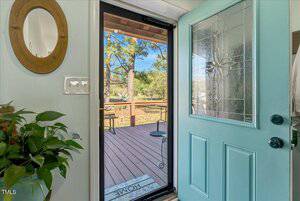 A light blue door with decorative glass is open, showing a wooden deck with outdoor seating and greenery. A plant and a round mirror are visible inside near the entrance.