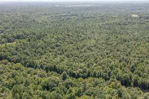 Aerial view of a dense, green forest stretching to the horizon under a hazy sky, with a faint road or utility line visible near the bottom of the image.