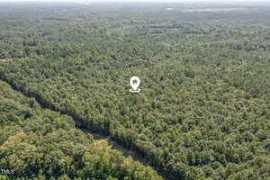 Aerial view of a large, densely wooded forest near Henderson with a white map pin icon marking 0 Williams Lane in the center. A road is visible cutting through the trees at the bottom left of the image.
