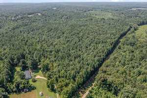 Aerial view of a dense, green forest with a small house and open grassy area in the lower left corner. A narrow, cleared path runs diagonally through the trees, and the landscape extends to the horizon.