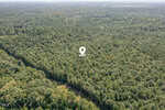 Aerial view of a dense forest with a long line of trees and a thin road, possibly 5b Williams Lane, Henderson, cutting through; a digital marker with a tree icon highlights a specific location within the wooded area.