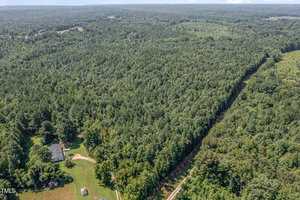 Aerial view of a dense forest with a single house and a lawn in the bottom left corner, intersected by a cleared path or utility line running diagonally through the trees. Sky is mostly clear in the distance.
