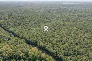 Aerial view of a dense forest near Henderson with mostly green trees and a single palm tree icon marking 00 Williams Lane. A road winds through the lower part of the image, highlighting this specific location.