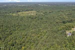 Aerial view of a densely wooded area with a mix of tree types. A house and driveway are visible in the lower right corner, and patches of cleared land appear in the distance under a partly cloudy sky.
