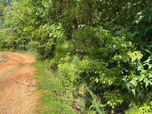 A dirt path curves through a wooded area near 00 Big Run Creek Lane, with dense green foliage and various trees on the right side. Sunlight filters through the leaves, casting shadows on the ground.