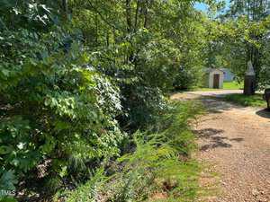 A gravel driveway curves past dense green bushes and trees on the left, leading toward a small white shed in the distance with sunlight filtering through the foliage.