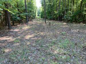 A cleared dirt and grass path runs through a wooded area with tall trees on both sides under daylight. The path leads toward a grassy, sunlit clearing in the distance.
