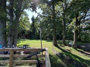 A sunny, wooded backyard with green grass, tall trees, and scattered shade. A wooden deck railing is in the foreground with outdoor items, and a red shed is visible among the trees in the background.