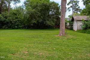 A grassy yard with a large tree in the foreground, bordered by dense green shrubs and trees, with a white shed and wooden fence visible in the background under a cloudy sky.