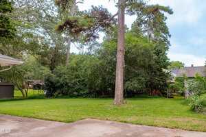 A backyard with a large grassy area, tall trees, and dense bushes. A house roof is partially visible on the left, and neighboring houses can be seen in the background through the trees.